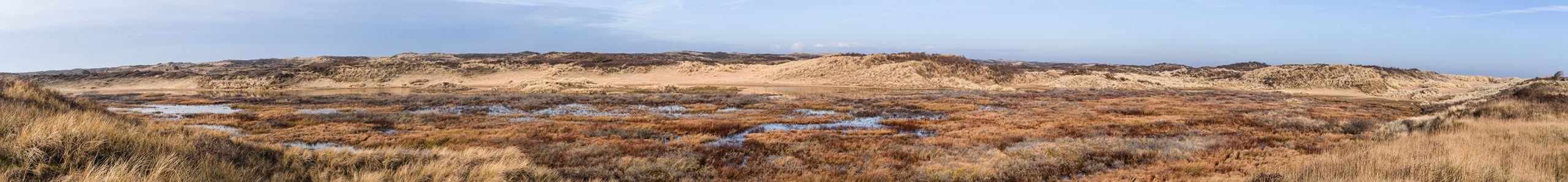 BBasics waterleidingduinen